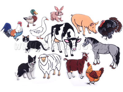 Домашние животные (демонстрационный материал, фетр) Домашние животные (демонстрационный материал, фетр)