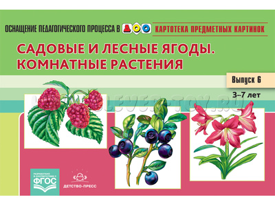 Картотека предметных картинок 06. Садовые и лесные ягоды. Комнатные растения. 3-7 лет. ФГОС Картотека предметных картинок 06. Садовые и лесные ягоды. Комнатные растения. 3-7 лет. ФГОС