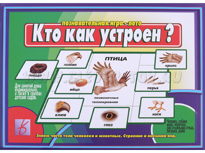 Развивающая игра "Кто как устроен" Развивающая игра "Кто как устроен"