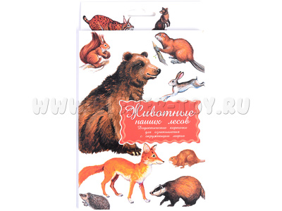 Дидактические карточки "Животные наших лесов" Дидактические карточки "Животные наших лесов"