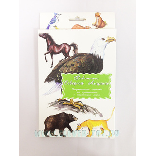 Дидактические карточки "Животные Северной Америки"