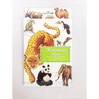 Дидактические карточки "Животные Азии"