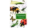 Дидактические карточки "Насекомые" Дидактические карточки "Насекомые"