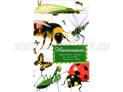 Дидактические карточки "Насекомые" Дидактические карточки "Насекомые"