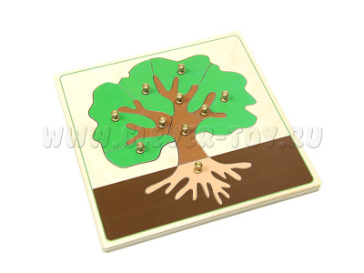Части дерева (дер.пазлы с контуром) Части дерева (дер.пазлы с контуром)
