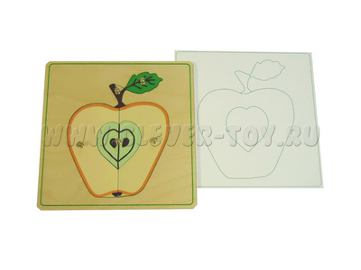 Части яблока (дер.пазлы с контуром) Части яблока (дер.пазлы с контуром)