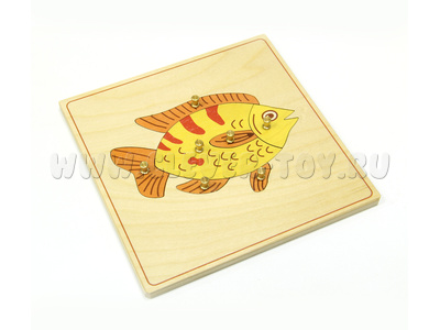Строение рыбки (дер.пазлы с контуром) Строение рыбки (дер.пазлы с контуром)