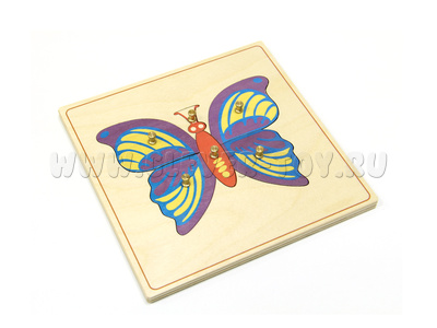 Строение бабочки (дер.пазлы с контуром) Строение бабочки (дер.пазлы с контуром)