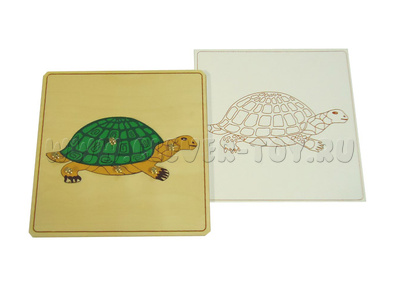 Строение черепахи (дер.пазлы с контуром) Строение черепахи (дер.пазлы с контуром)