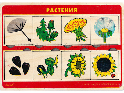 Рамка-вкладыш "Чудеса преображения - Растения" Рамка-вкладыш "Чудеса преображения - Растения"