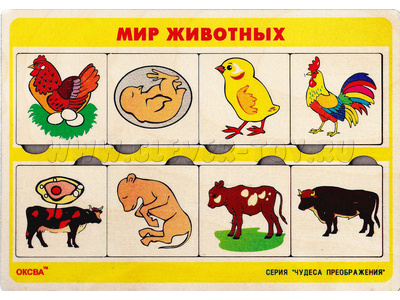 Рамка-вкладыш "Чудеса преображения - Мир животных" Рамка-вкладыш "Чудеса преображения - Мир животных"