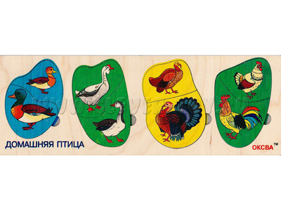 Рамка-вкладыш "Домашняя птица" Рамка-вкладыш "Домашняя птица"