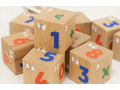 Кубики деревянные со шрифтом Брайля "Цифры" (остатки) Кубики деревянные со шрифтом Брайля "Цифры" (остатки)