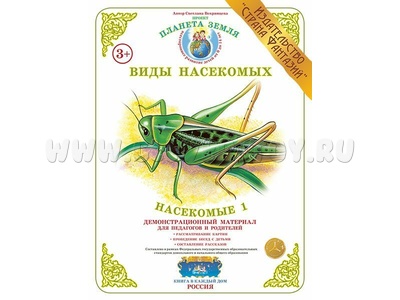 Демонстрационный материал "Насекомые 1" (СФ) Демонстрационный материал "Насекомые 1" (СФ)