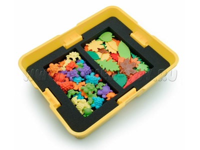 Модуль "Сенсорное развитие. ОВЗ"