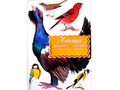 Дидактические карточки "Птицы наших лесов" (в плёнке) Дидактические карточки "Птицы наших лесов" (в плёнке)