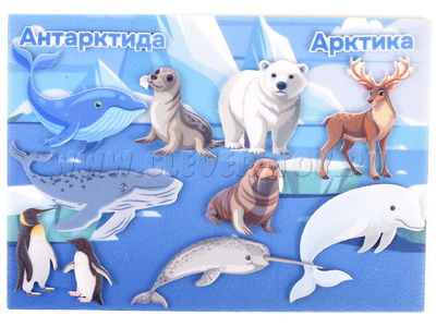 Обитатели Арктики и Антарктики с игровым полем (фетр) Обитатели Арктики и Антарктики с игровым полем (фетр)