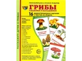 Демонстрационные картинки СУПЕР. Грибы (16 шт.) Демонстрационные картинки СУПЕР. Грибы (16 шт.)