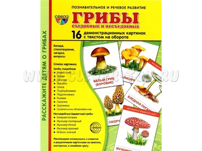 Демонстрационные картинки СУПЕР. Грибы (16 шт.) Демонстрационные картинки СУПЕР. Грибы (16 шт.)