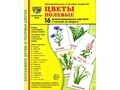 Демонстрационные картинки СУПЕР. Цветы полевые (16 шт.) Демонстрационные картинки СУПЕР. Цветы полевые (16 шт.)