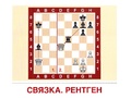 Демонстрационные картинки СУПЕР. Шахматы (16 шт.) Демонстрационные картинки СУПЕР. Шахматы (16 шт.)