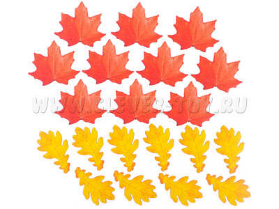 Набор магнитных карточек "Листья" 20 шт* Набор магнитных карточек "Листья" 20 шт*