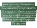 Набор магнитных карточек "Числительные" (прописью, фон зелёный) Набор магнитных карточек "Числительные" (прописью, фон зелёный)
