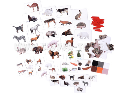 Набор магнитных карточек "Загадки-отрицания". Животные. Набор магнитных карточек "Загадки-отрицания". Животные.