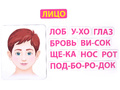 Магнитное развивающее пособие: "Тело человека: первые вопросы - первые ответы" Магнитное развивающее пособие: "Тело человека: первые вопросы - первые ответы"
