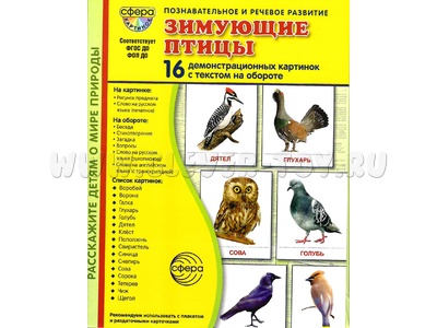 Демонстрационные картинки СУПЕР в папке. Зимующие птицы (16 шт.)